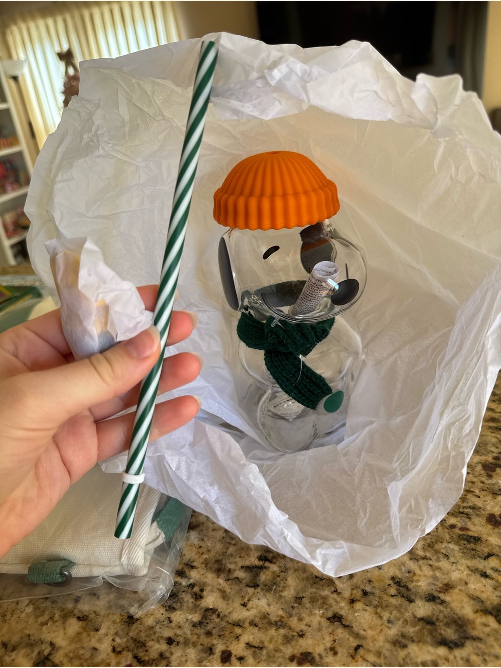 Peanuts x Starbucks Snoopy Glass Cup